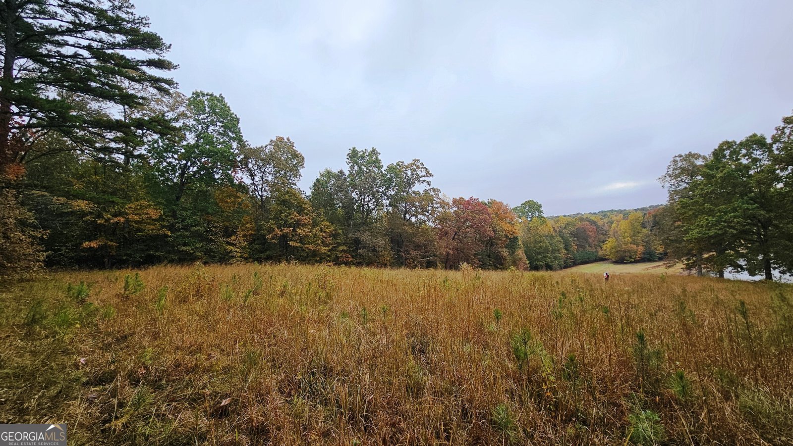 LOT 1 Snote Jones Road Dallas - 7