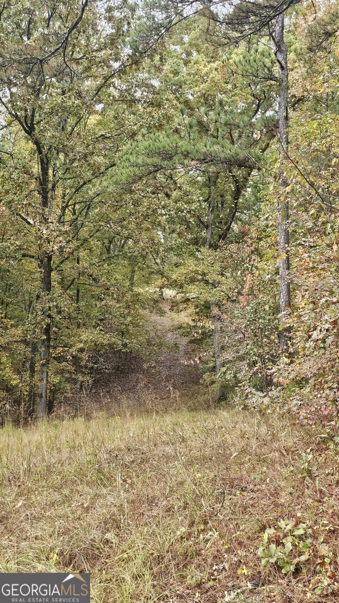 LOT 1 Snote Jones Road Dallas - 8