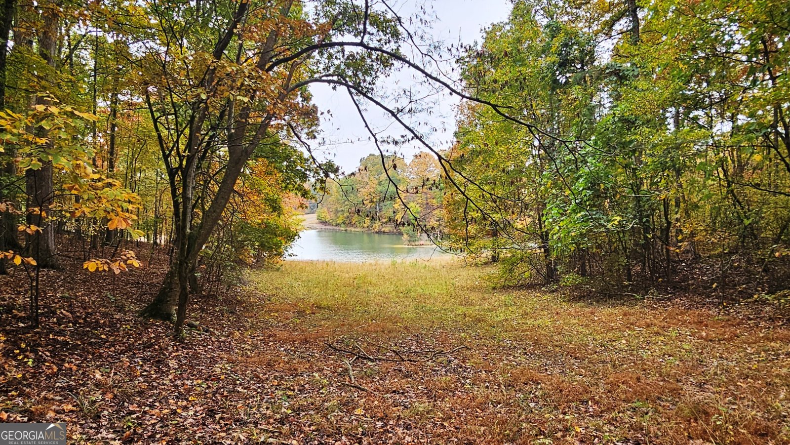 LOT 1 Snote Jones Road Dallas - 9