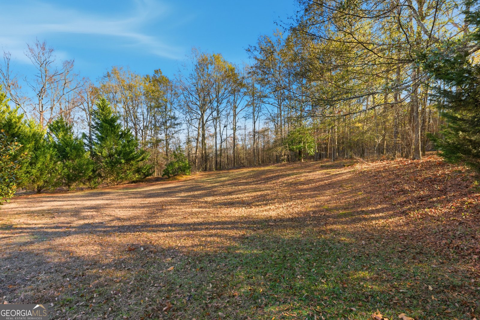 36 Wildcat Lane Commerce - 21