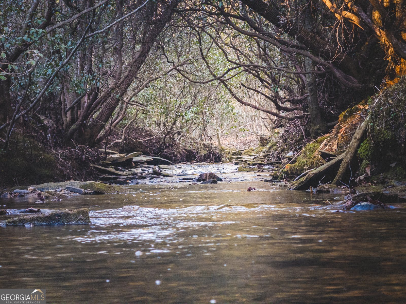 480 Brookstone Trail Dawsonville - 39