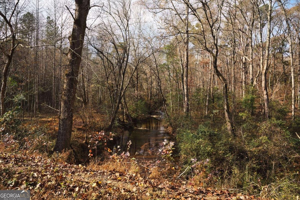 3794 Glenloch Road Franklin - 26