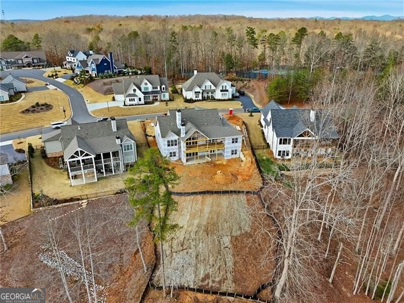 75 Night Fire Lane Dawsonville - 29