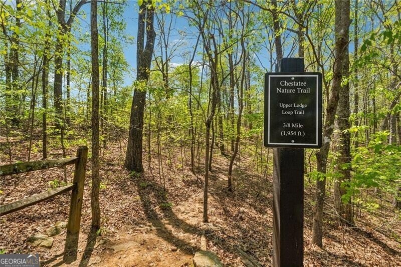 75 Night Fire Lane Dawsonville - 47