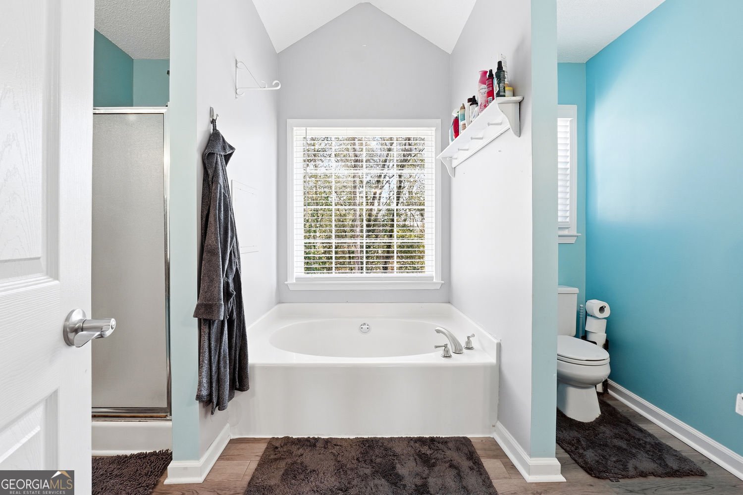 50 Carrington Hills Douglasville - 15