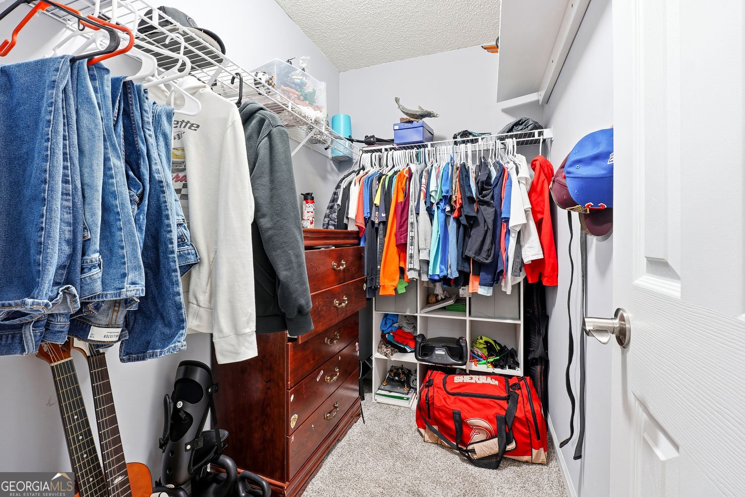 50 Carrington Hills Douglasville - 18