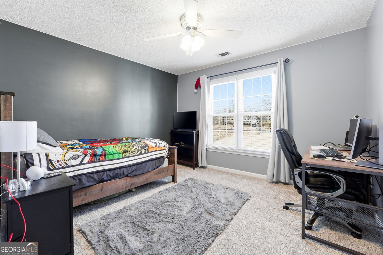 50 Carrington Hills Douglasville - 22