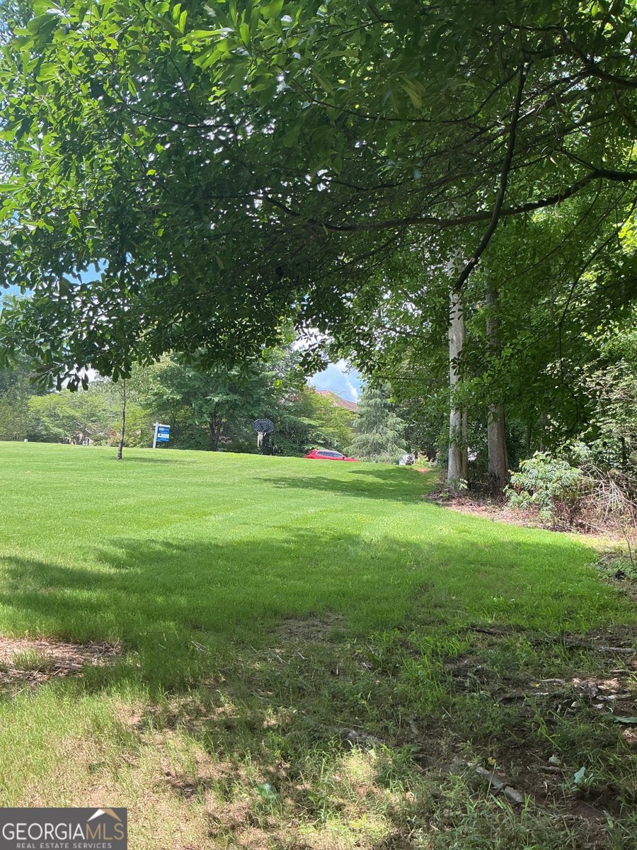 50 Carrington Hills Douglasville - Photo 41