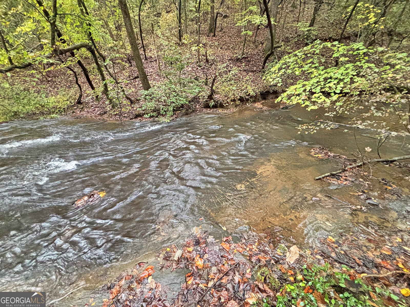 571 Jones Creek Road Ellijay - 12