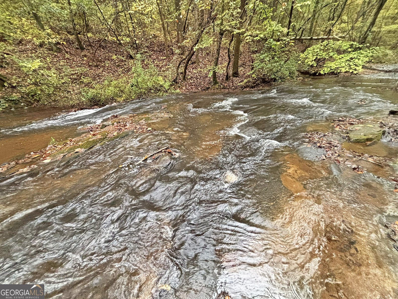 571 Jones Creek Road Ellijay - 14