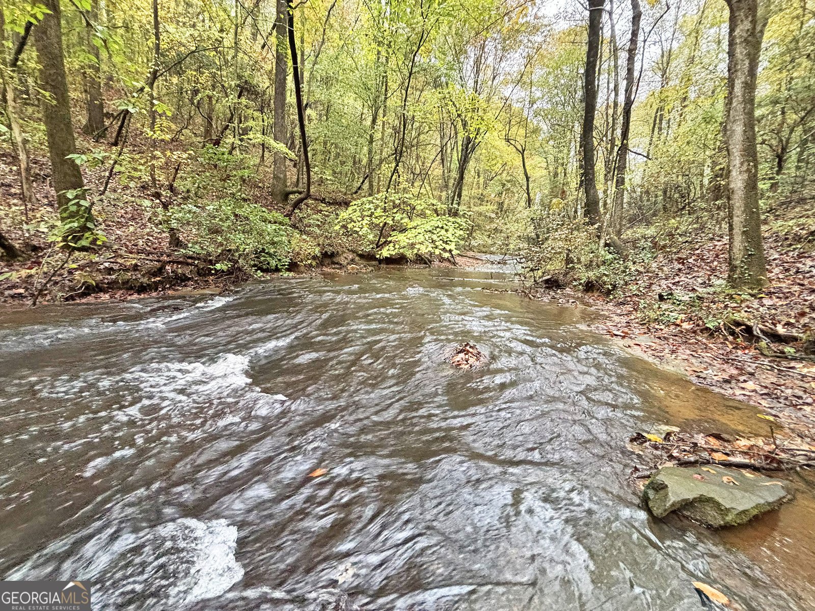 571 Jones Creek Road Ellijay - 16