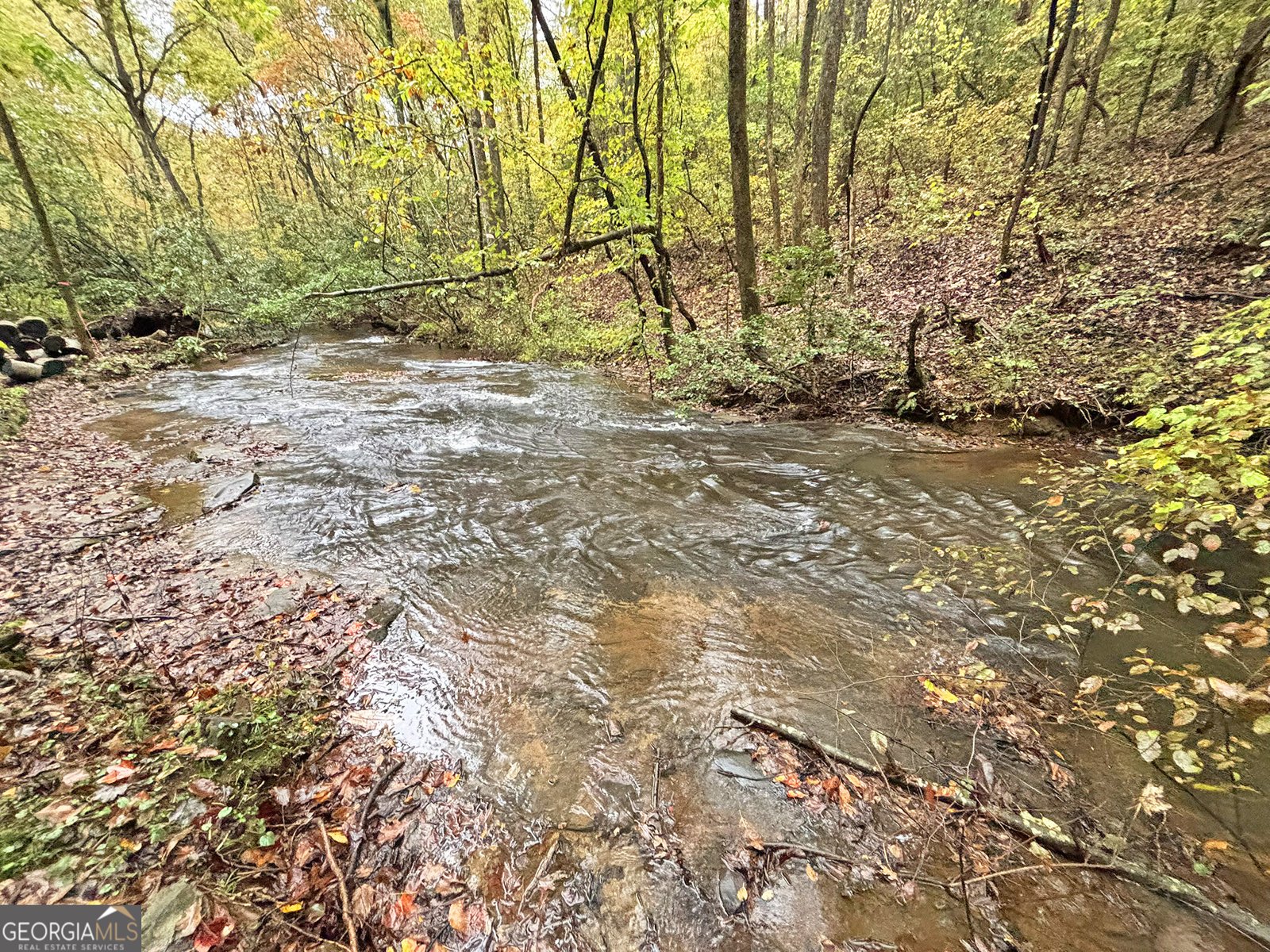 571 Jones Creek Road Ellijay - 19