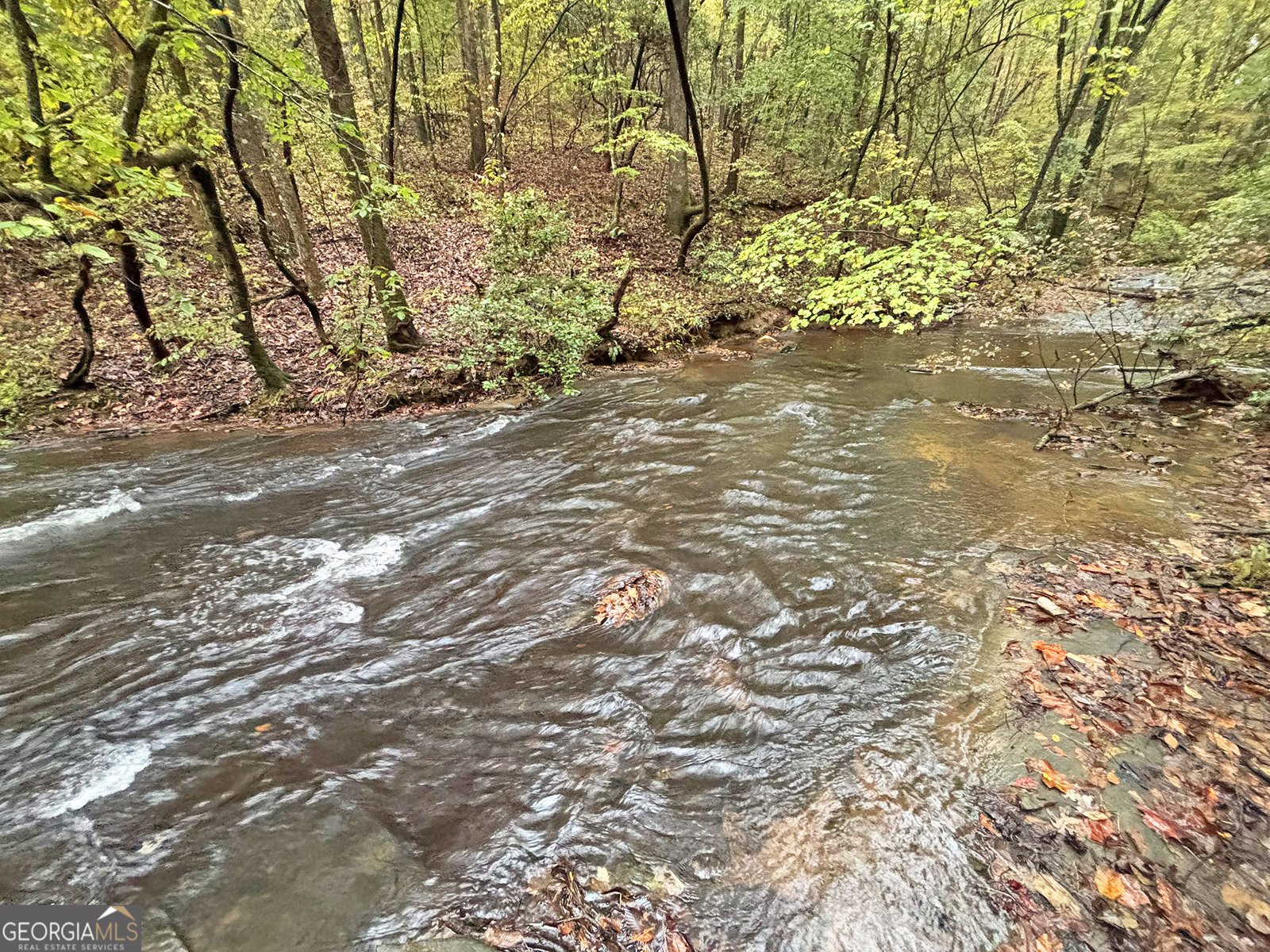 571 Jones Creek Road Ellijay - 22