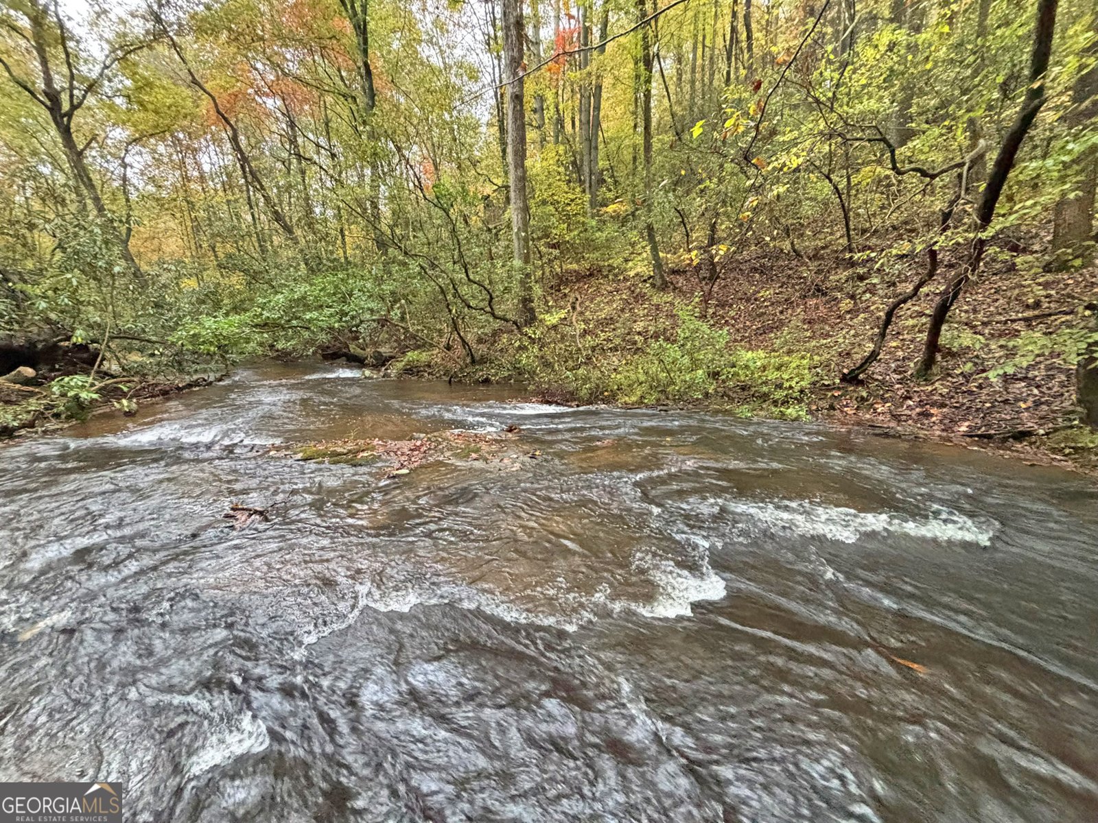 571 Jones Creek Road Ellijay - 24