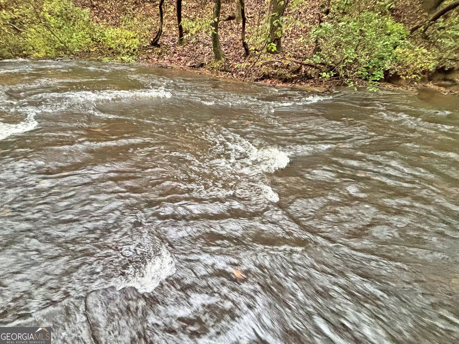 571 Jones Creek Road Ellijay - 26