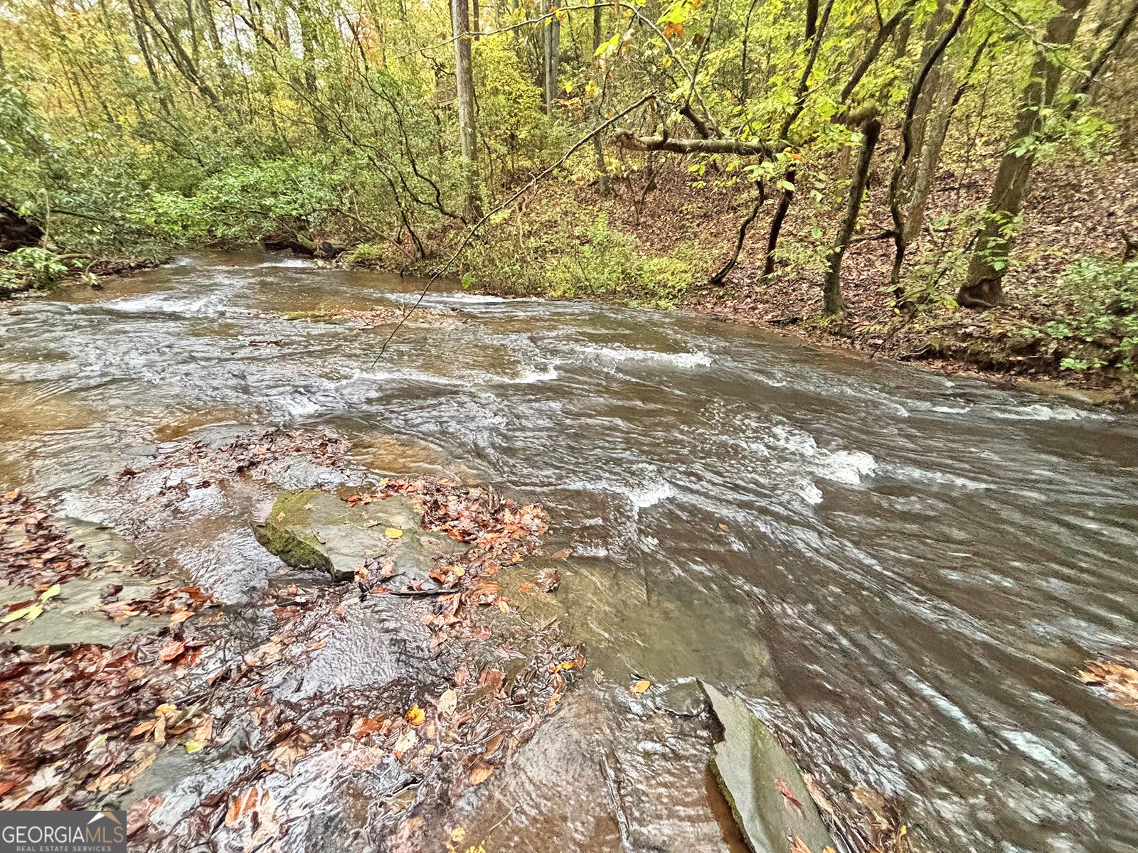 571 Jones Creek Road Ellijay - 29