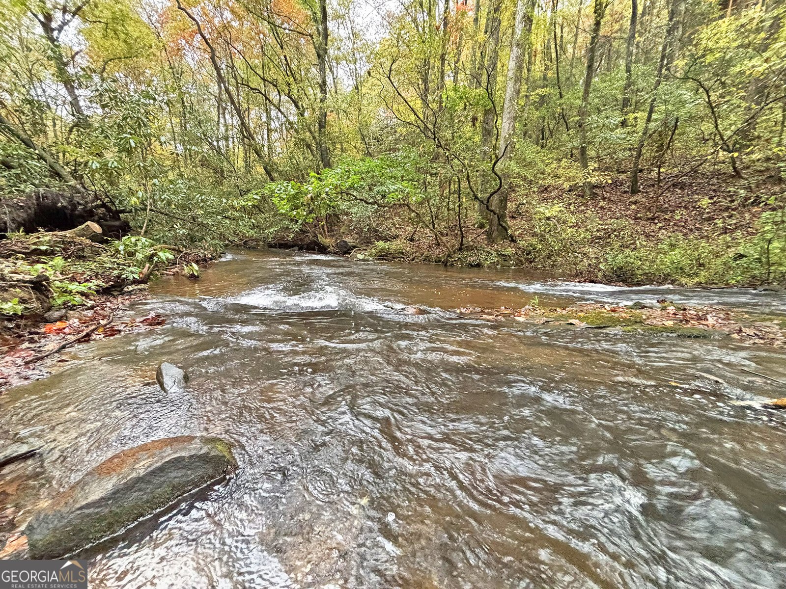 571 Jones Creek Road Ellijay - 3