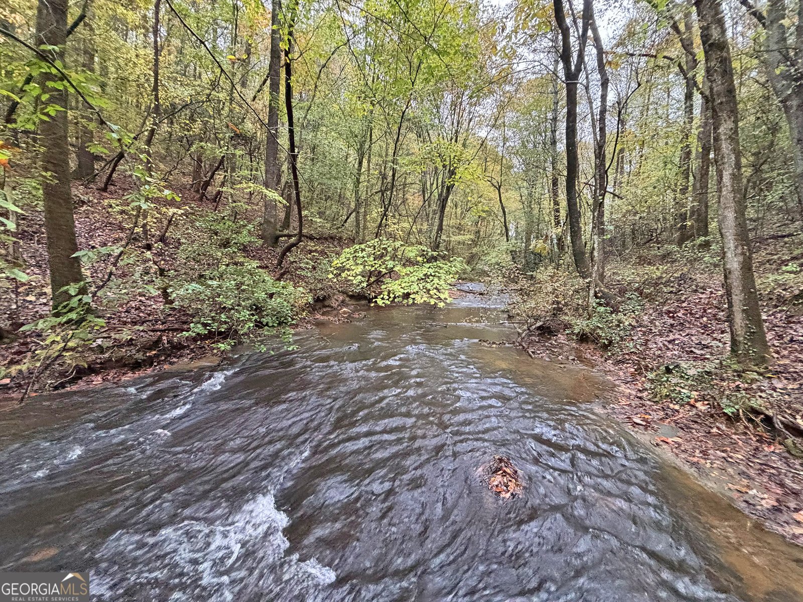 571 Jones Creek Road Ellijay - 32