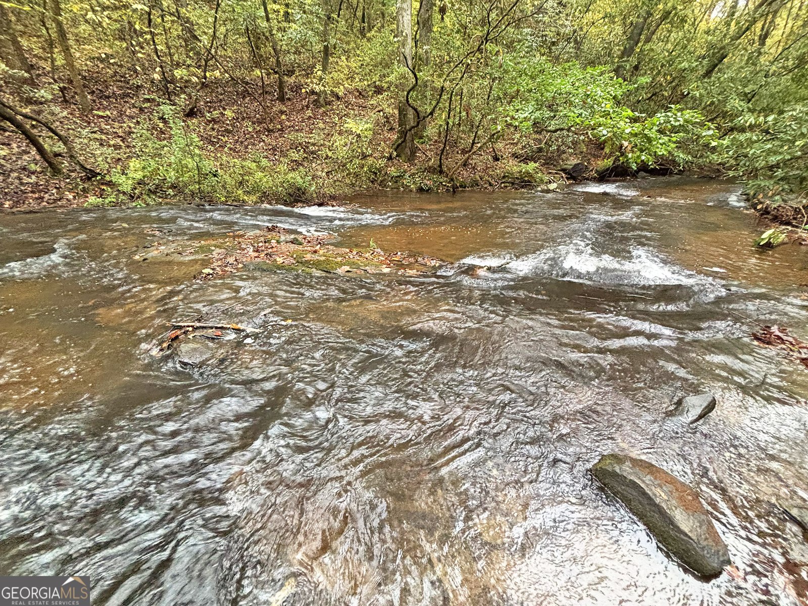 571 Jones Creek Road Ellijay - 35