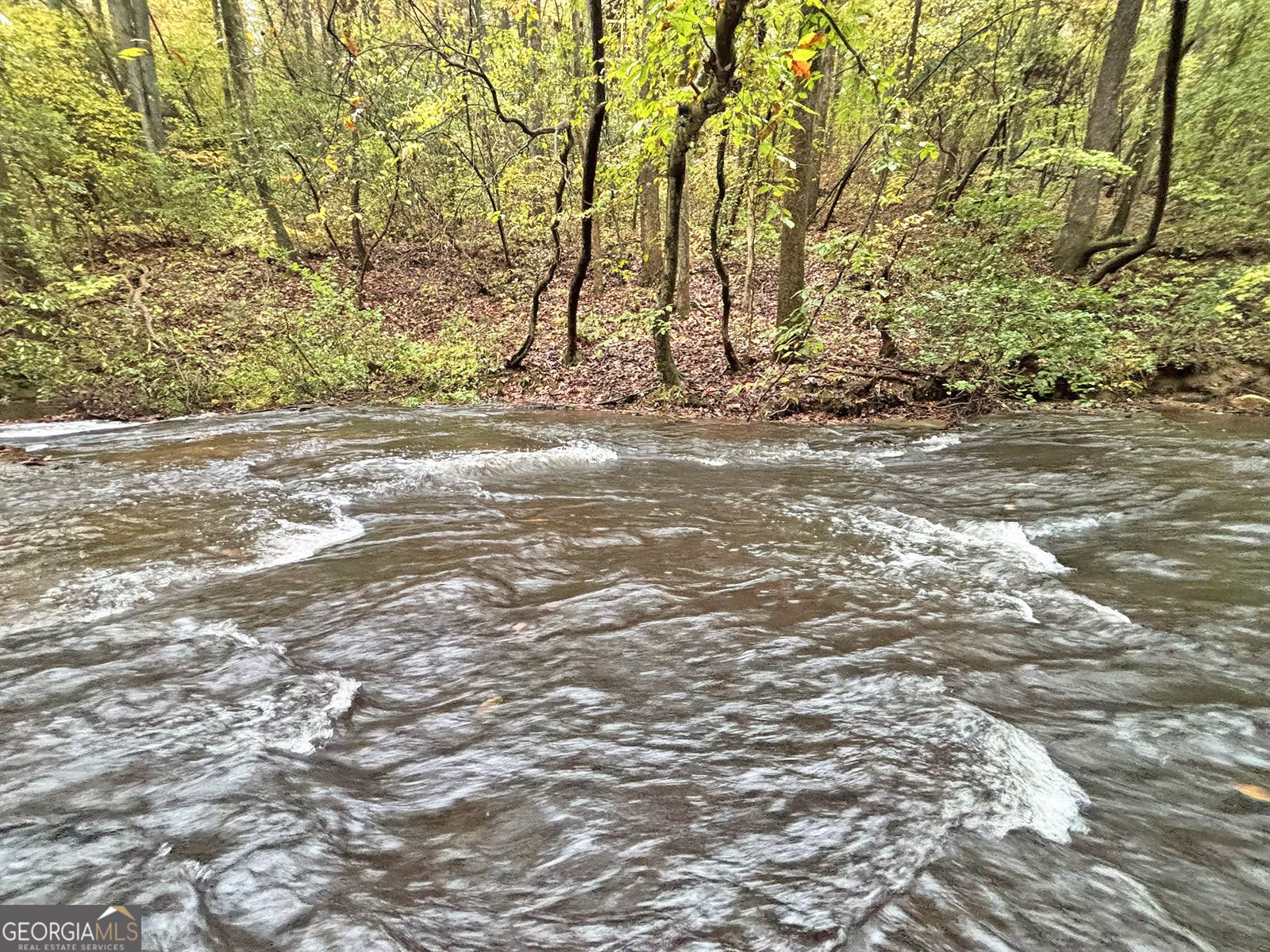 571 Jones Creek Road Ellijay - 38