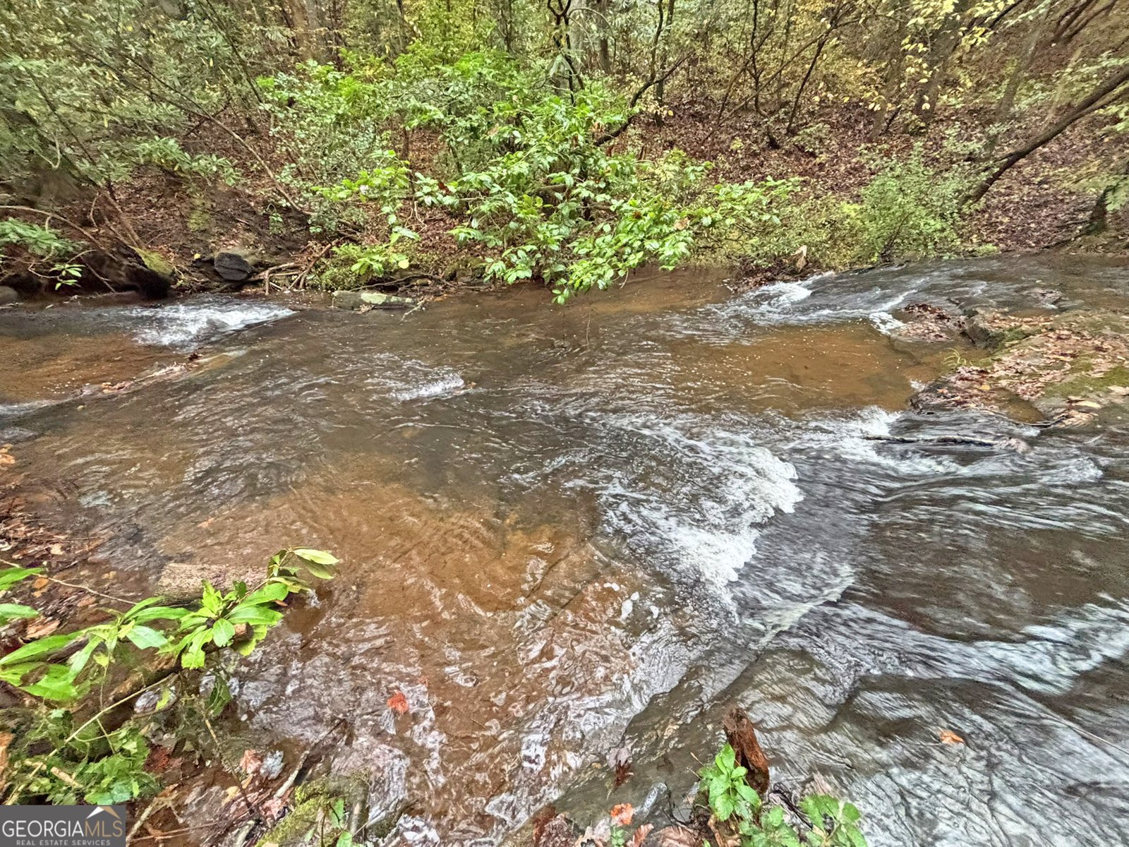 571 Jones Creek Road Ellijay - 41