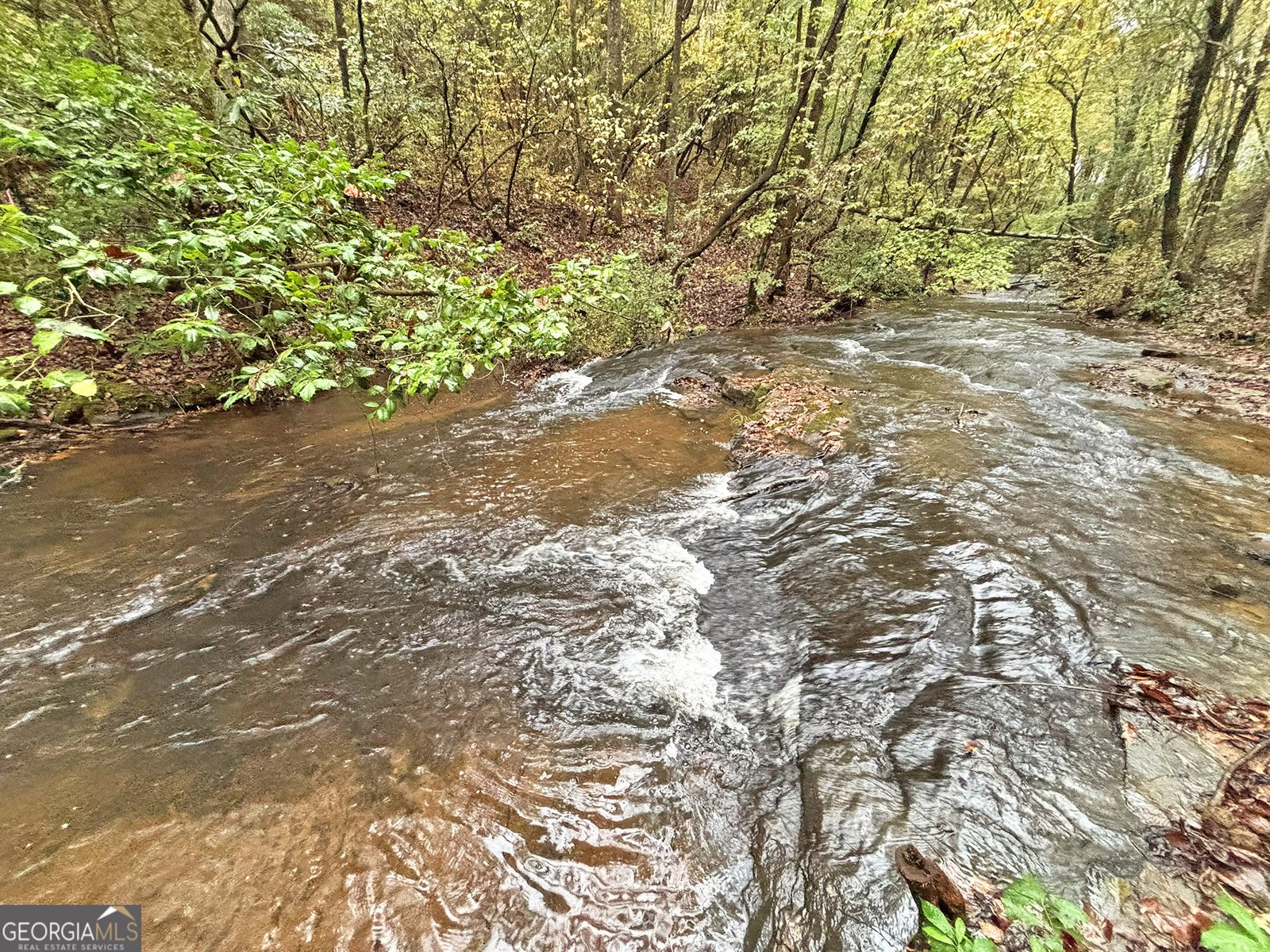 571 Jones Creek Road Ellijay - 44