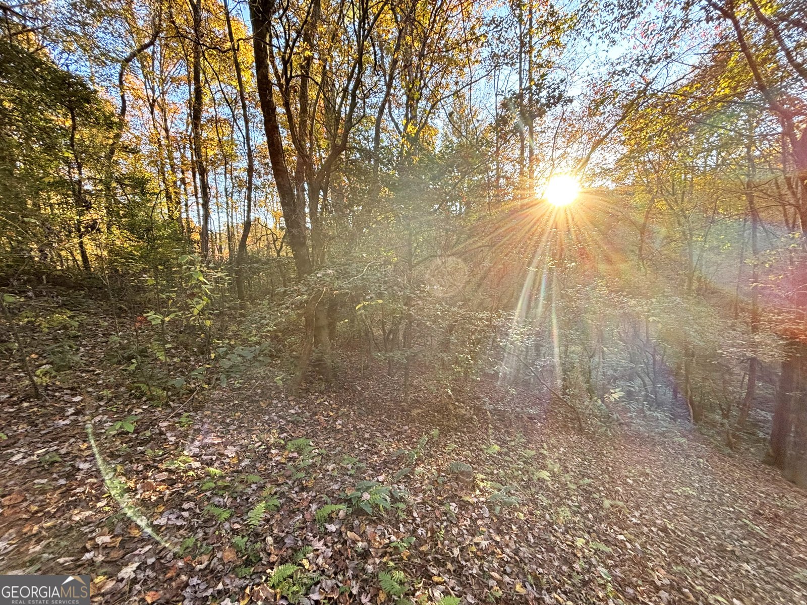 571 Jones Creek Road Ellijay - 49