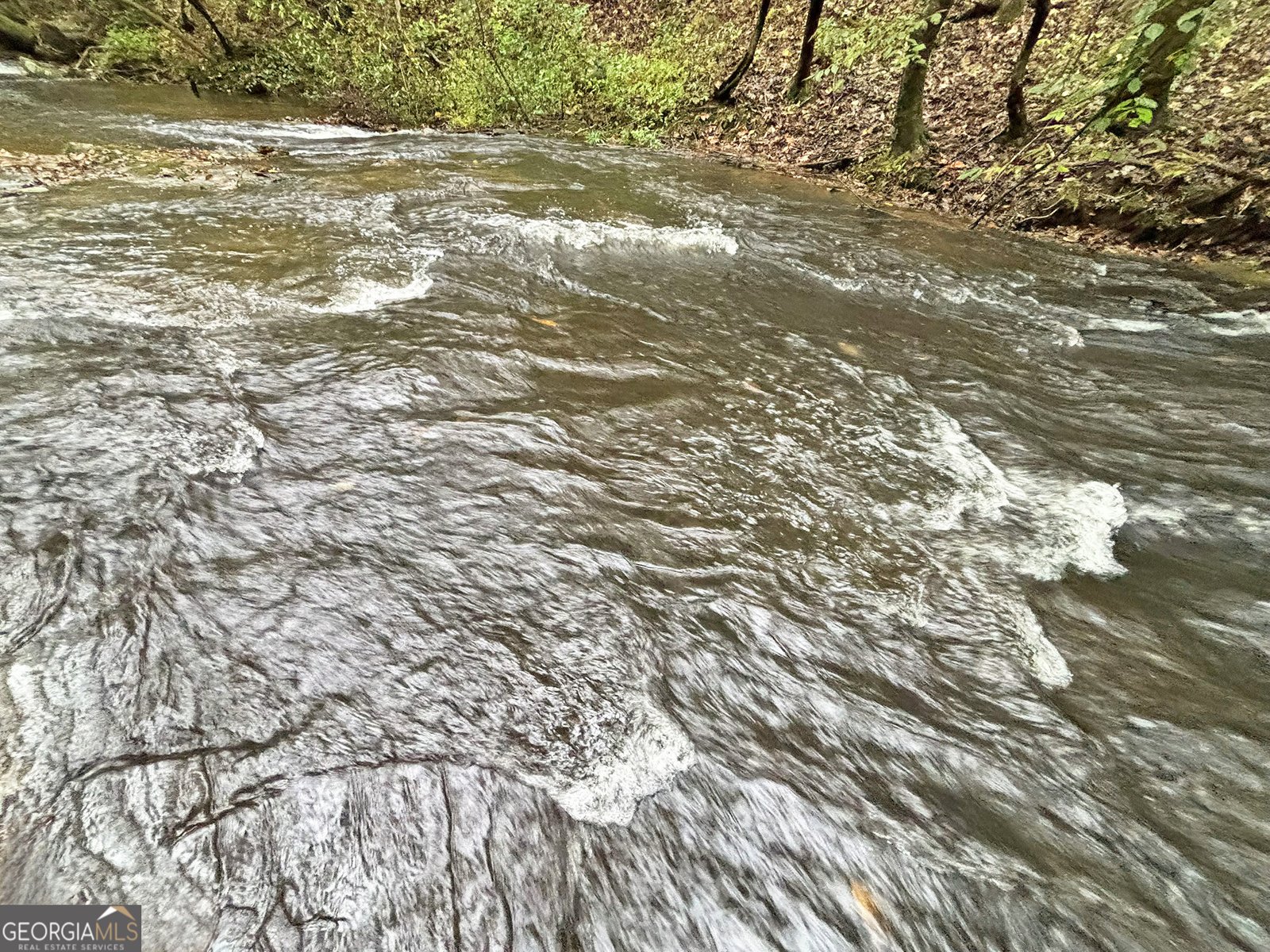 571 Jones Creek Road Ellijay - 5