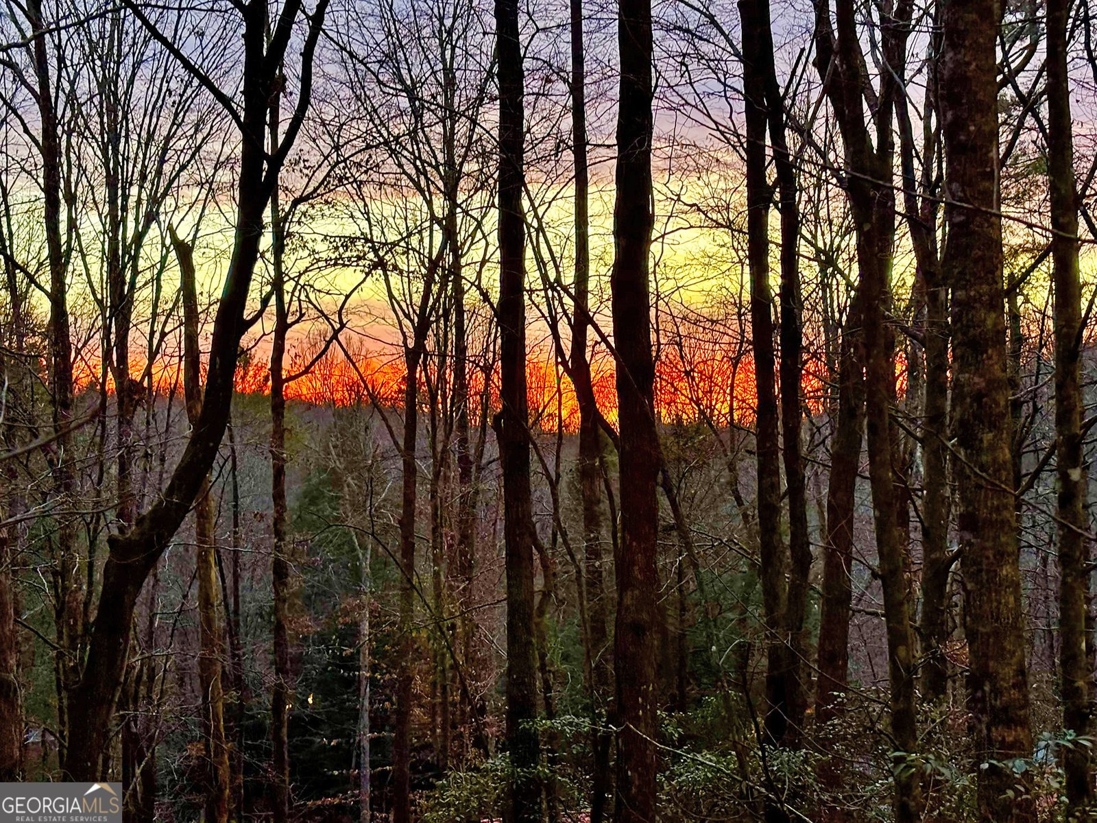 571 Jones Creek Road Ellijay - 51