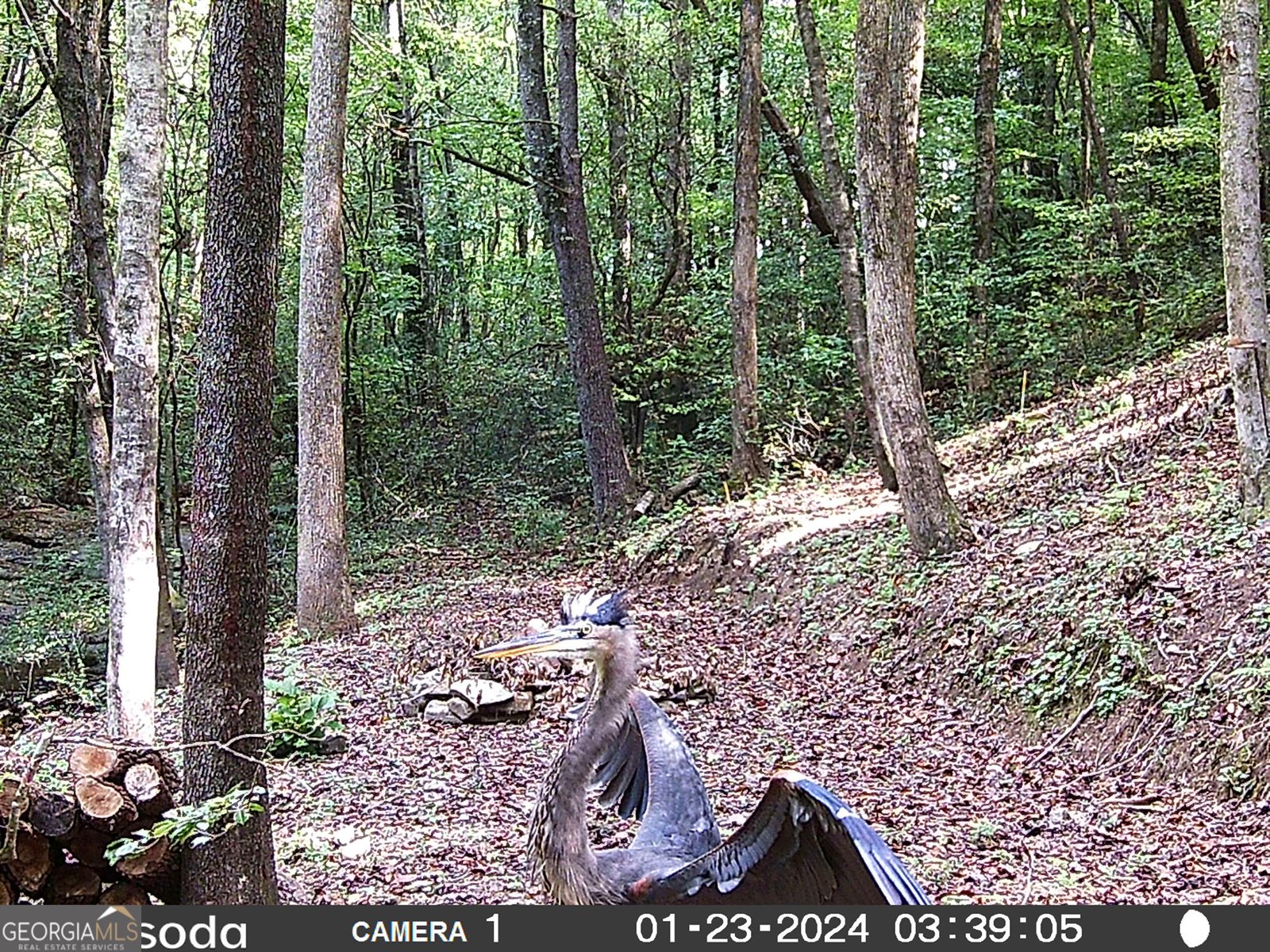 571 Jones Creek Road Ellijay - 58