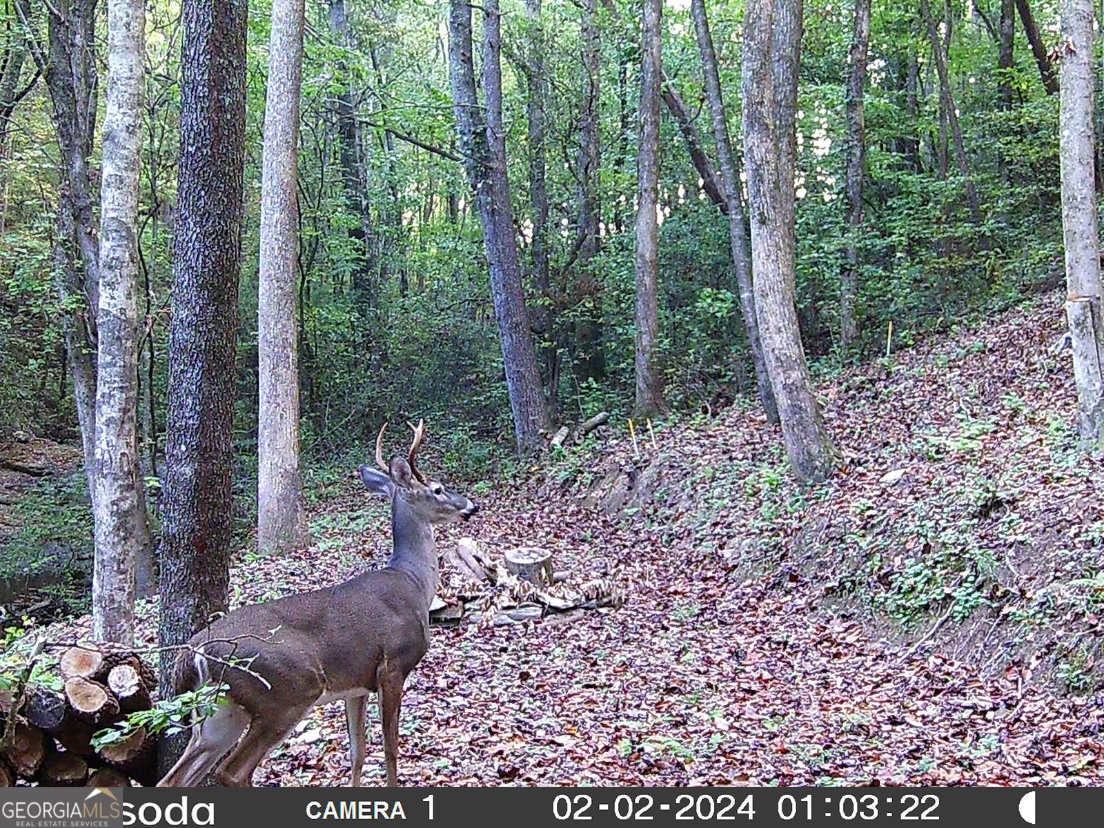 571 Jones Creek Road Ellijay - 60