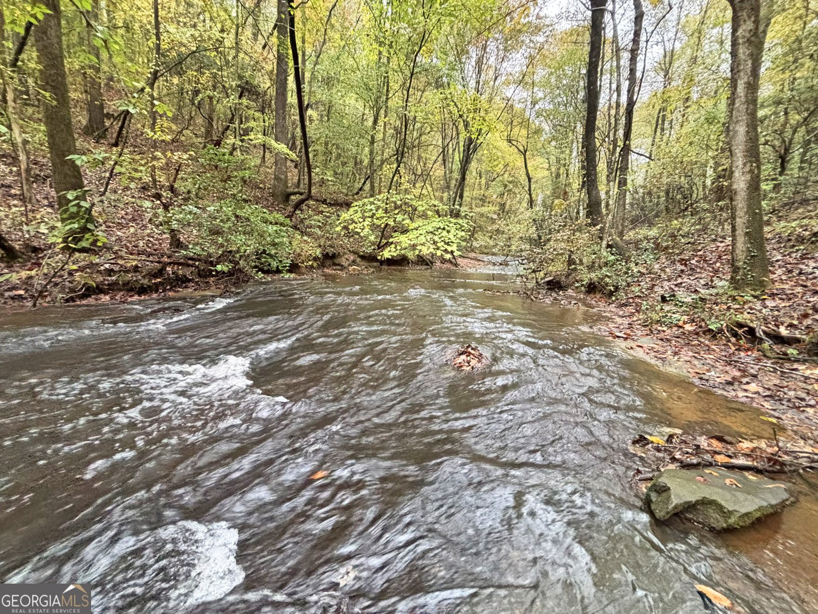 571 Jones Creek Road Ellijay - 68