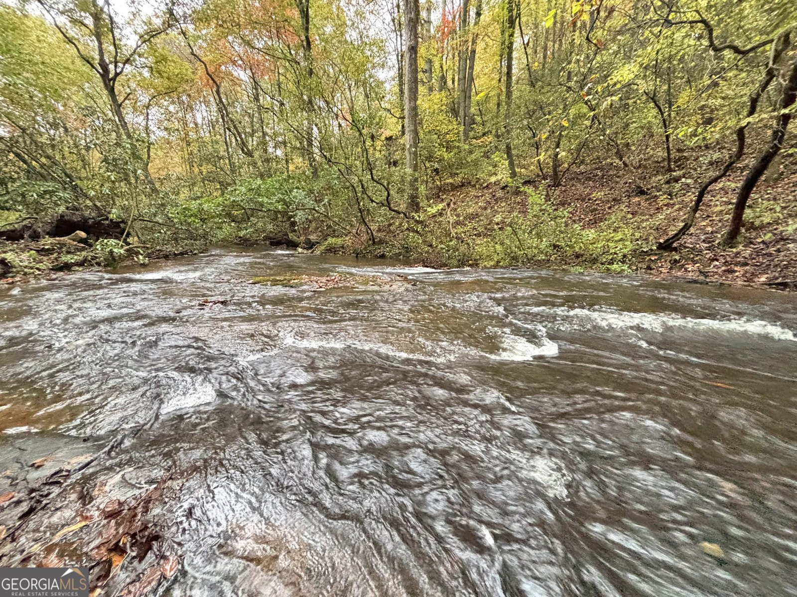 571 Jones Creek Road Ellijay - 7