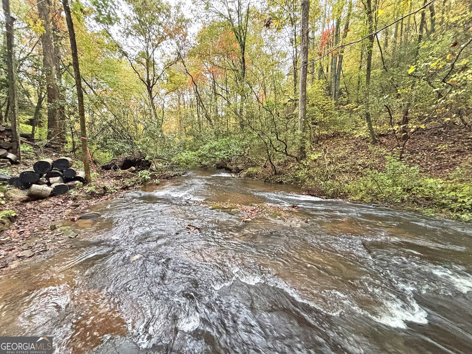 571 Jones Creek Road Ellijay - 9