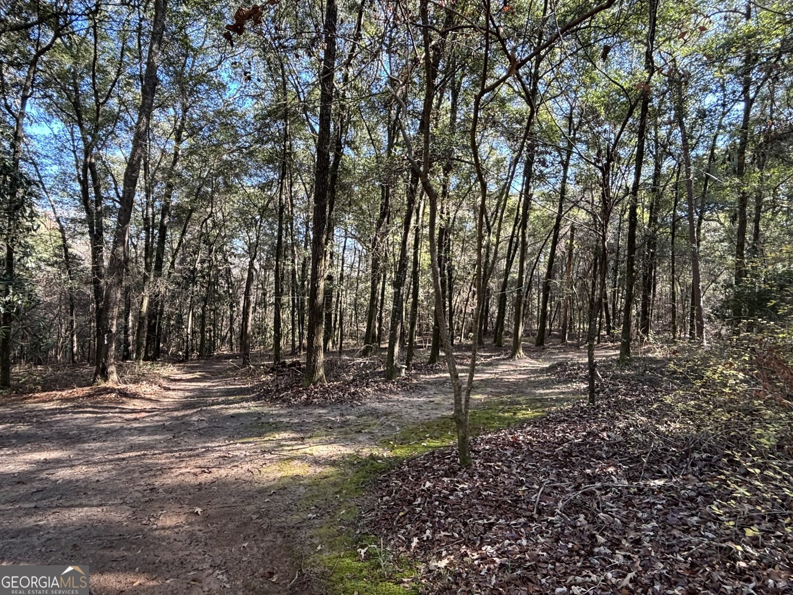 115 Woody Drive Perry - 66