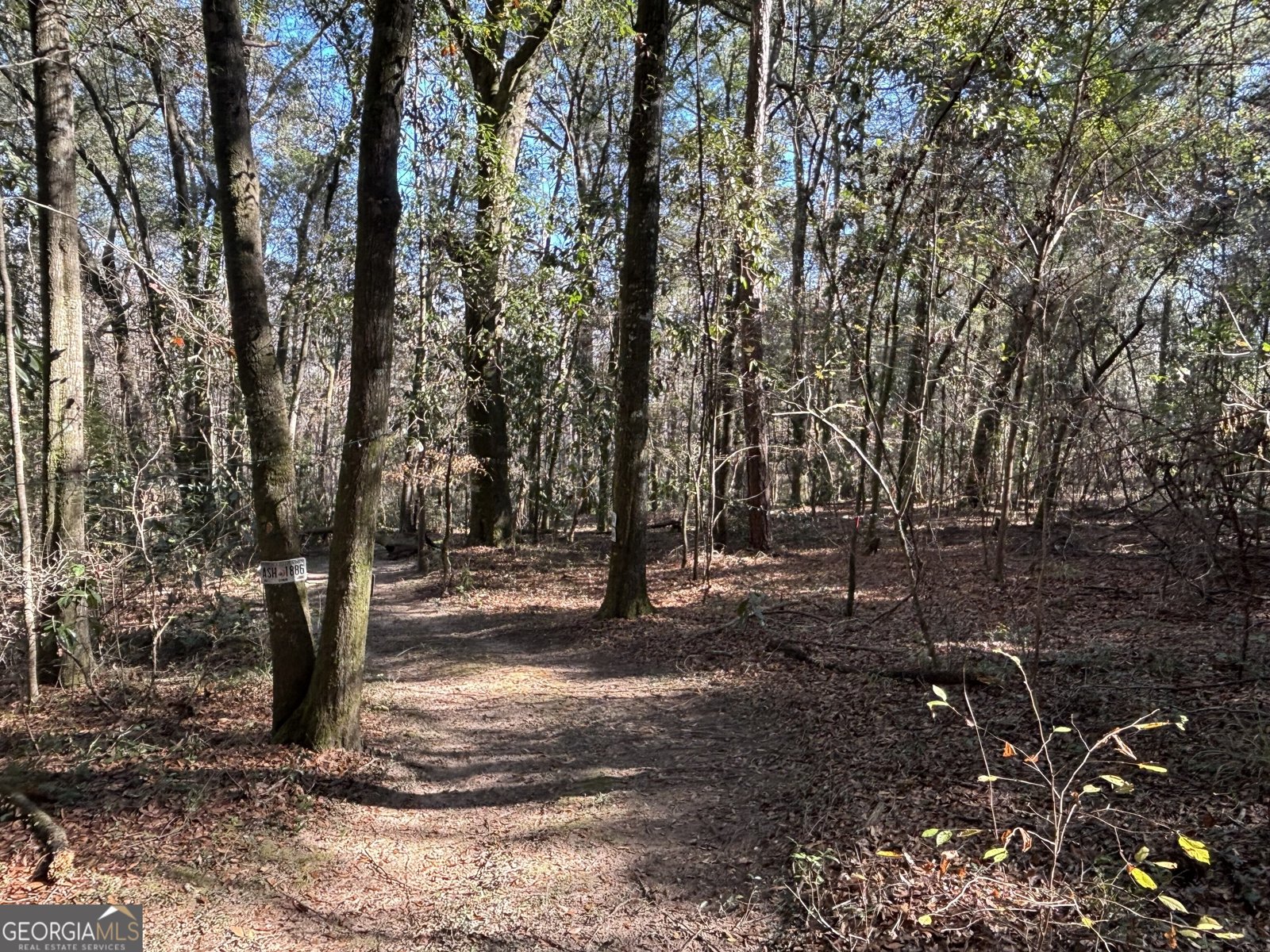 115 Woody Drive Perry - 72