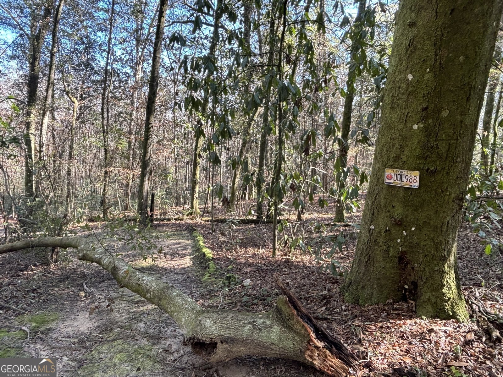 115 Woody Drive Perry - 73