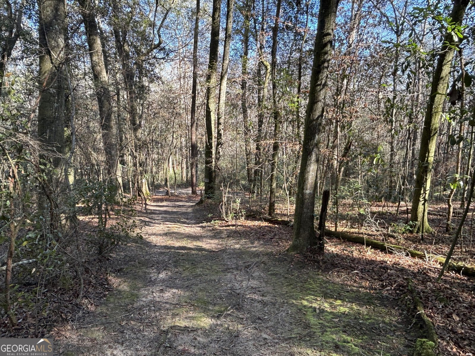 115 Woody Drive Perry - 74