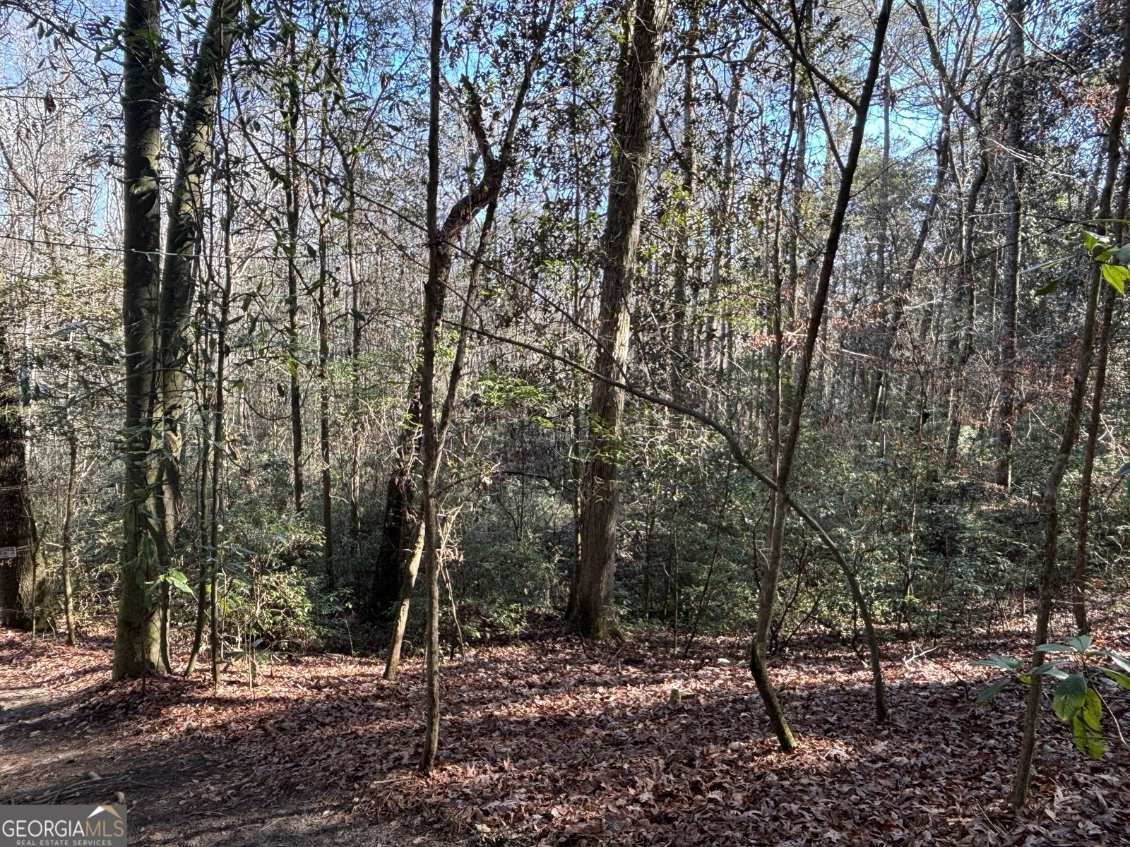 115 Woody Drive Perry - 75