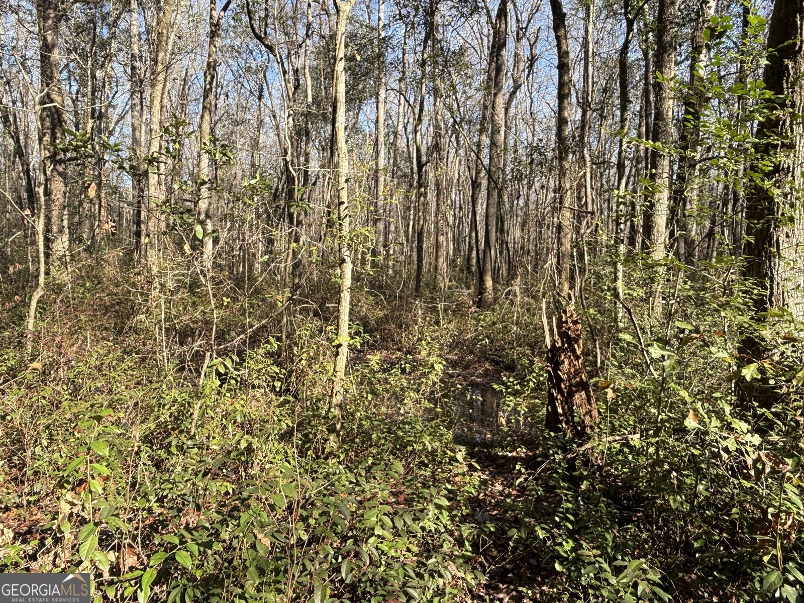 115 Woody Drive Perry - 77