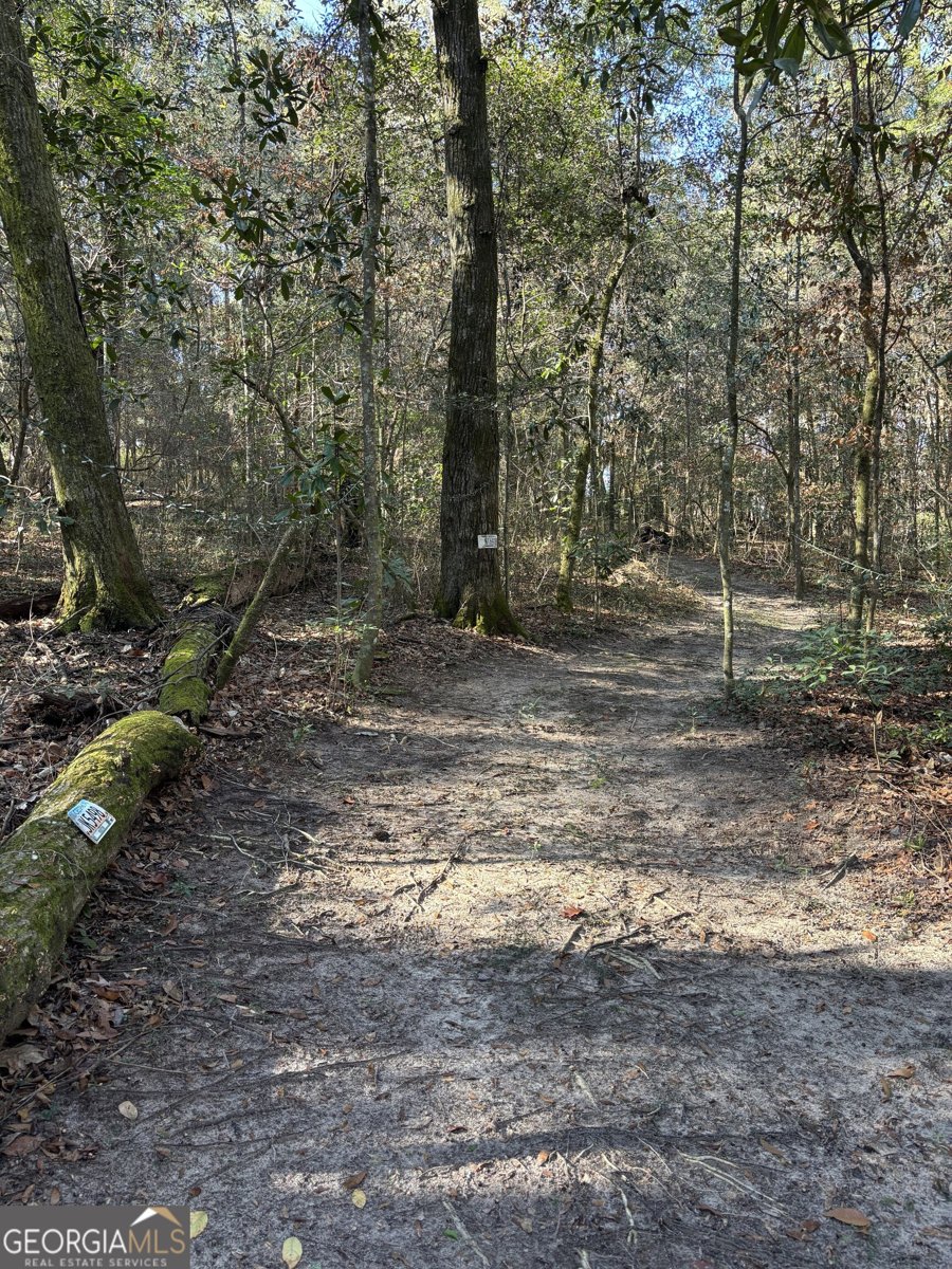 115 Woody Drive Perry - 78