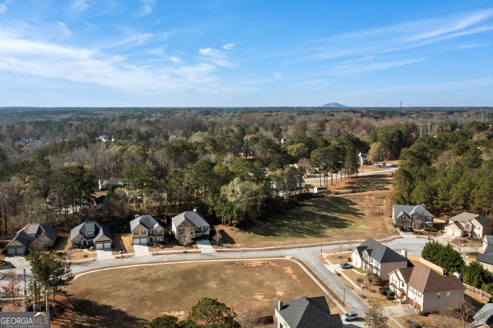 4451 Ivy View Court Loganville - 48