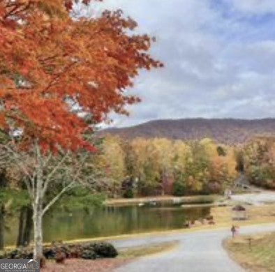 35 Canyon Pass Cleveland - 14