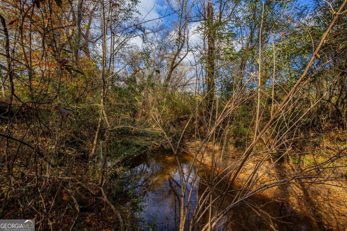 96 Indian Creek Way Hoschton - 62