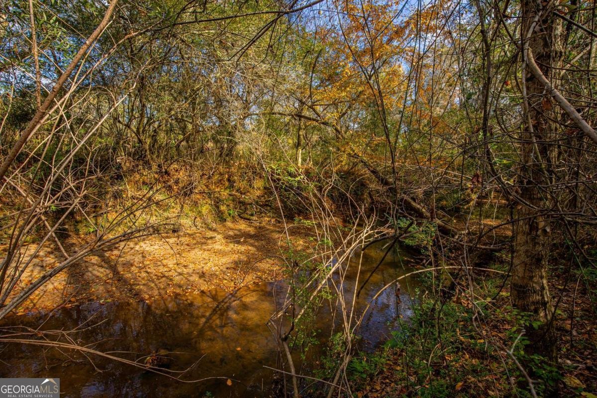 96 Indian Creek Way Hoschton - 63