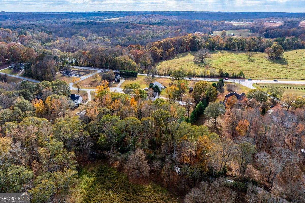 96 Indian Creek Way Hoschton - 67