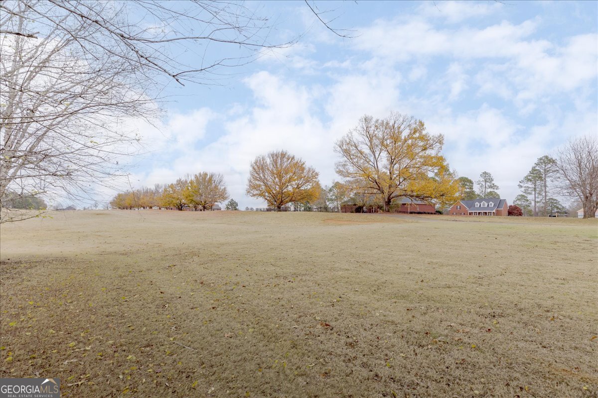 48 Idlewood Circle Hawkinsville - 46