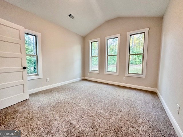 313 Mourning Court LaGrange - 11