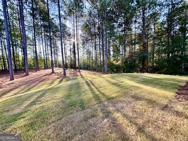 313 Mourning Court LaGrange - 19