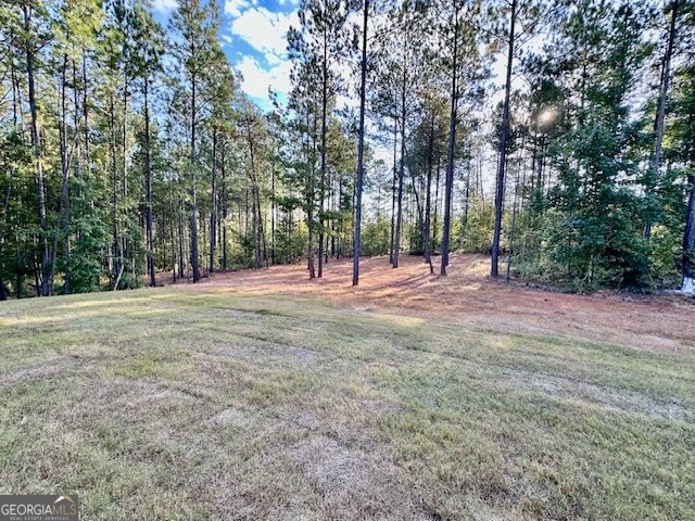 311 Mourning Court LaGrange - 25